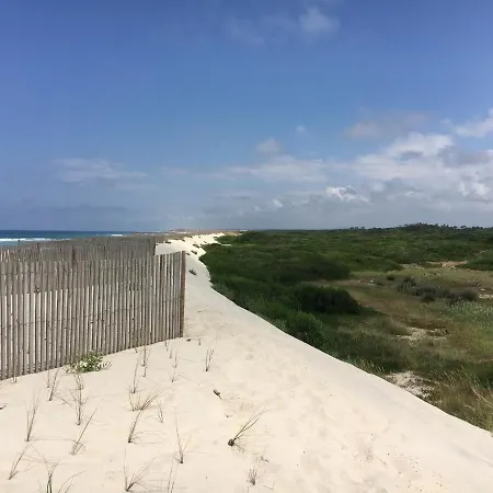 Nature Beach House Relax Apartment Ovar